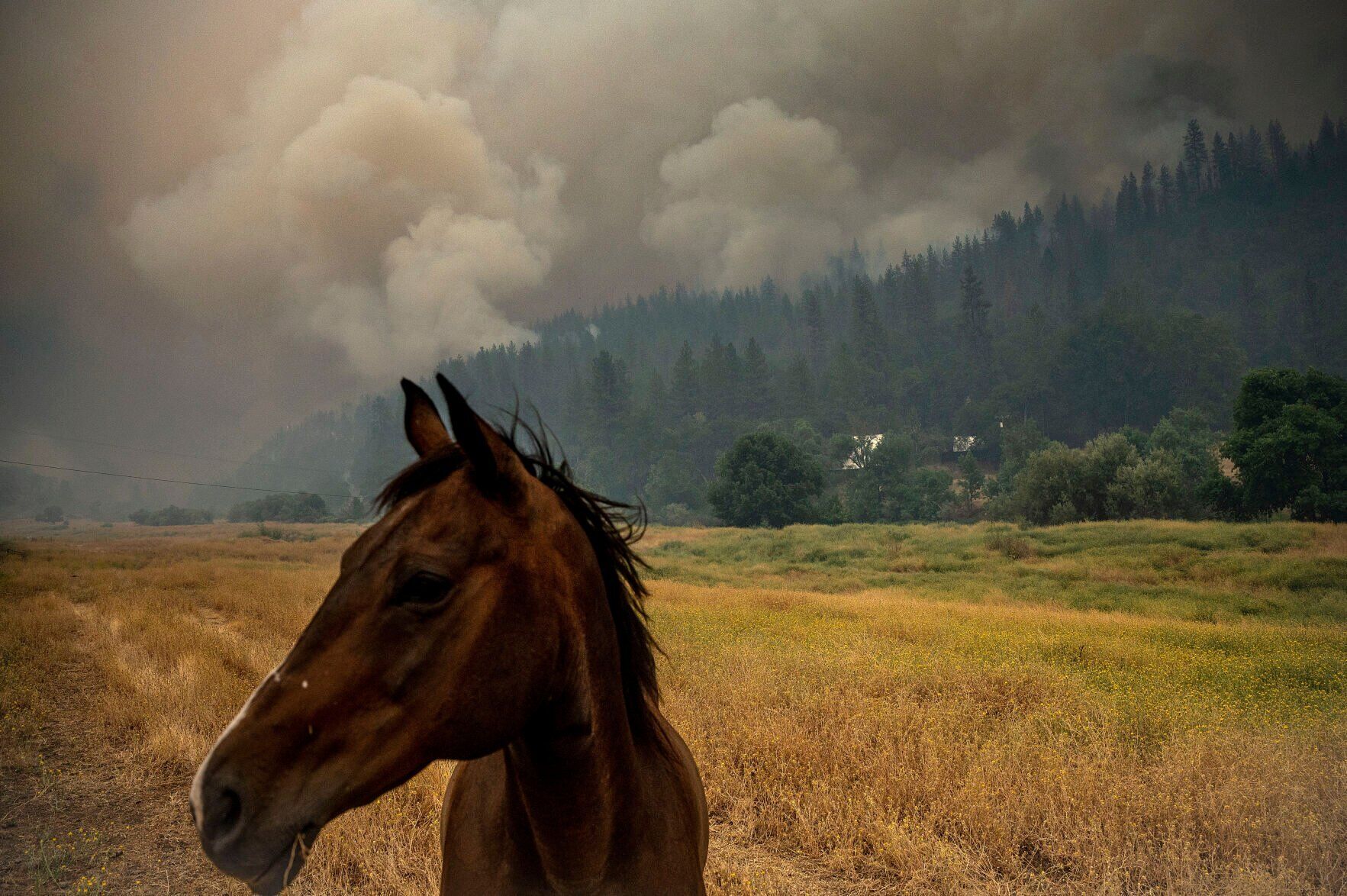 APTOPIX Western Wildfires